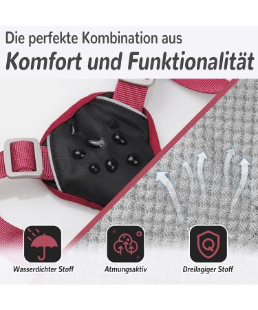 Multi-Purpose Dog Harness & Leash Set - Outbreak-Proof Anti-Train Safety Harness for Small & Medium Dogs (Black M) - Buy Online on GoSupps.com