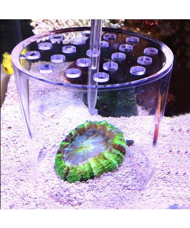 Transparent Coral Feeder Cover Transparent Acrylic Aquarium Coral Feeder Cover Fishing Aquarium for Partial Coral Reproduction(120mm)