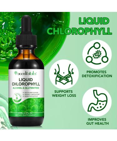 Chlorophyll Liquid Drops Organic Liquid Chlorophyll Body Deodorizing Supports for Odor Balance Natural Body Freshness Body Odor Control Fresh Breath 60ml 2Bottle. - Buy Online on GoSupps.com