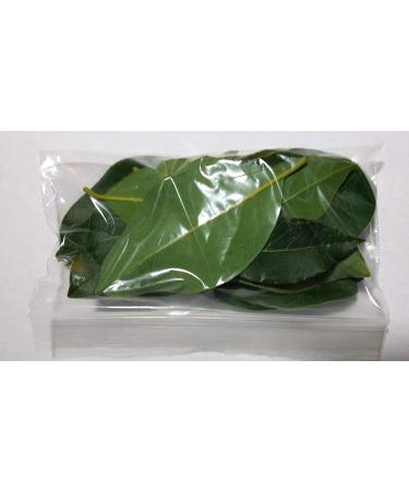 Organic Bay Leaves 2 oz. - Premium Culinary Herb for Cooking - Buy Online on GoSupps.com