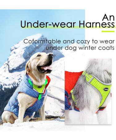 Thinkpet No-Pull Dog Harness Leash Set | Breathable Adjustable Harness for Small Medium & Large Dogs | Padded Reflective Safety Control | Yellow - Buy Online on GoSupps.com