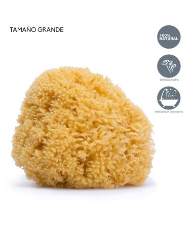 Suavi Esponja Natural Grande +0m | Eco-Friendly & Gentle for All Ages - Shop Internationally - Buy Online on GoSupps.com