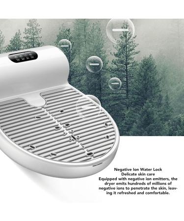 Body Heater Blow Dryer Body Dryer Negative Ion Emitter Hot and Cold Air Touch Screen Panel for Bathroom (US Plug 110V) - Buy Online on GoSupps.com