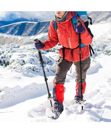 Cane Ice Tip Attachment Crutch Ice Cane Accessories 2PCS Stainless Steel 5-Prong Ice Tip for Cane Universal Cane Ice Tip Non-slip Ice Grip for Winter Snow Safety - Buy Online on GoSupps.com