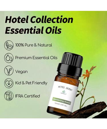 Luxury Hotel Inspired Essential Oil Set - Wandering Breeze Elegant Charisma Serenity Meadows & Royal Tranquility - 10ML Diffuser Oils for Home & Travel - Buy Online on GoSupps.com