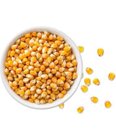Nature Connect Popcorn Kernel Seeds 300 gm Popcorn Seeds Makki Dana_Packing May Vary - Buy Online on GoSupps.com