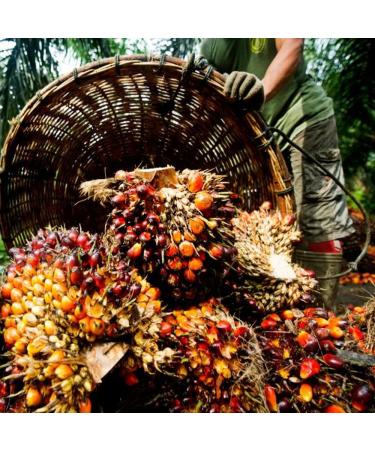 Kajal Huile de palme 500 ml Huile de palme rouge de qualit sup rieure du Ghana riche en b ta-carot ne Id al pour la cuisine et la p tisserie Couleur naturelle v g talienne et sans additifs  - Buy Online on GoSupps.com