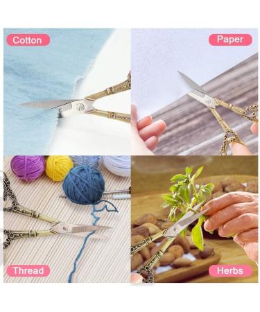 SVAASA Nail Clippers 4 Colors Professional Manicure Scissors Stainless Steel Cuticle Precision Beauty Grooming for Nail Manicure Scissors HGtrtr - Buy Online on GoSupps.com