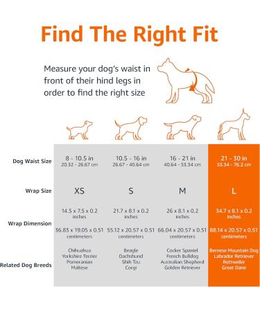 Amazon Basics Disposable Dog Diapers for Male Dogs - Large White 50-Pack - Best International Shipping Available - Buy Online on GoSupps.com