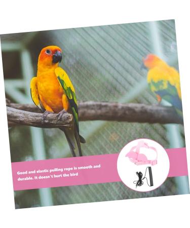 DOITOOL 3 Sets Bird Leash Suspend Parrot Harness and Leash Conure Birds Flying Harness Kit Gecko 12X6X1.3CMx3pcs Pinkx3pcs - Buy Online on GoSupps.com