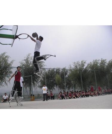 Skyrunner 2018 New Model Jumping Stilts POGO Stilts Kangaroo Shoes Bouncing Spring Stilts Men Women Fitness Exercise Black Load Weight:90-100KG/198-220LBS - Buy Online on GoSupps.com