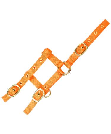 EKKIA Adjustable Mini Halter orange mini foal size