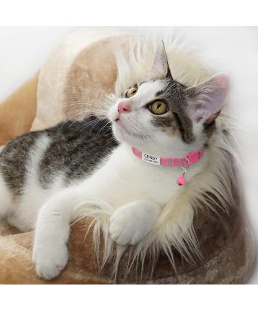 Shop Tagme Cat Neck Band 2-Pack | Reflective Safety Collar with ID Shield & Bell | Adjustable for Cats & Puppies | Pink 18-28 cm - Buy Online on GoSupps.com