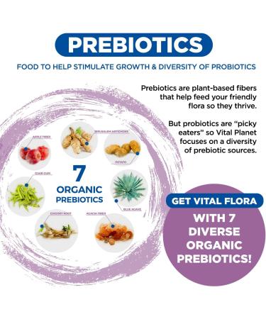 Vital Planet - Vital Flora Probiotics for Women 60 Billion CFU Diverse Strains Daily Shelf Stable Probiotic with Organic Prebiotics for Vaginal Support Immune and Digestive Health 30 Capsules 30 Count (Pack of 1) - Buy Online on GoSupps.com