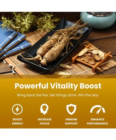 Korean Red Panax Ginseng Gold Double Strength Extract Capsules with Ginkgo Biloba & Vitamin B12 - Energy & Focus Support - Vegan Formula - Buy Online on GoSupps.com
