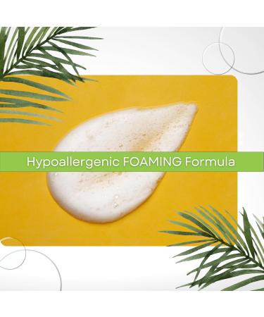LuLu Made in USA Boric Acid Feminine Wash - pH Balanced Vaginal Wash | 8.5 Fl Oz | Intimate Cleanser for Women - Buy Online on GoSupps.com