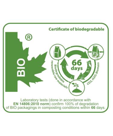 Buy Spintz Bio Ceylon Cinnamon Rods 50st | 13-14 cm Organic & Extra Long | Sustainable & Plastic-Free Packaging | Fresh 340g Ceylon Cinnamon Sticks - Buy Online on GoSupps.com