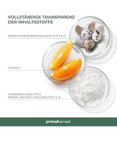 Primal Harvest Multi-Collagen Capsules - 120 High-Dose Premium Collagen - GMP Certified Made in Germany | International Shipping - Buy Online on GoSupps.com