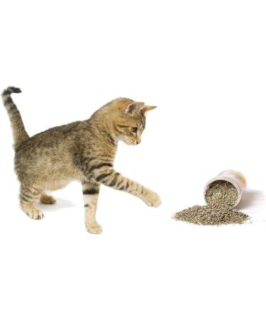 Cat Crack Catnip Premium Blend - Maximum Potency Infused Safe for Cats - Irresistible 1 Cup for Your Kitty - Buy Online on GoSupps.com