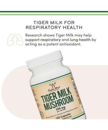 Double Wood Supplements Tigers Milk Mushroom Supplement (Lignosus Fungi) 500mg per Serving 120 Capsules (Antioxidant for Respiratory and Lung Health Support) Vegan Safe Non-GMO - Buy Online on GoSupps.com