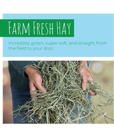 Small Pet Select 2nd Cutting Timothy Hay - Perfect Blend for Small Pets - Buy Online on GoSupps.com