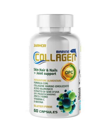 Collagen and Hyaluronic Acid + Vitamin C Biotin Zinc and Iron | Colageno Concentrated Formula With Marine Collagen for Men and Women | Hair Food Supplement 60 Capsules