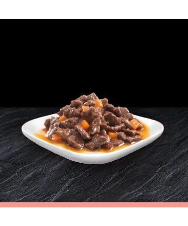 Cesar Selection in Sauce 48 Pouches Adult Premium Wet Dog Food Succulent Meats and Vegetables Pack of 2 (24 x 100 g) Favourites in Sauce 100 g (Pack of 48) - Buy Online on GoSupps.com