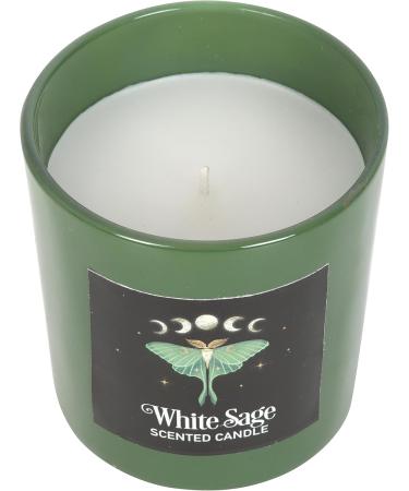 Luna Moth White Sage Candle - Vegan Paraffin Wax | 25-Hour Aromatherapy | Sacred Creatures for Soothing Home Ambiance - Buy Online on GoSupps.com