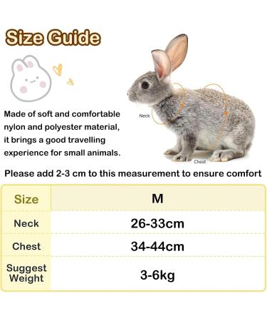 Adjustable Rabbit Dishes & Leash for Dwarf Rabbits | Soft Pet Bowls for Rabbits Cats & Small Dogs - International Shipping - Buy Online on GoSupps.com
