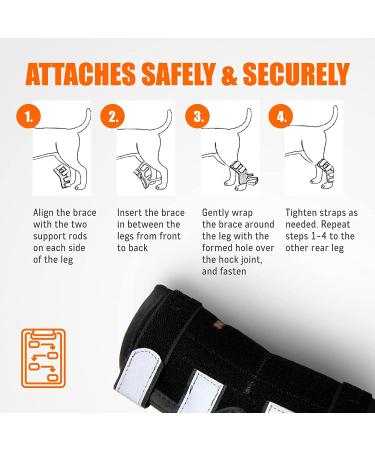 NeoAlly Dog Braces for Back Legs with Dual Metal Spring Inserts - Large, 1 Pair - Buy Online on GoSupps.com