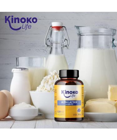 ULTRA LACTASE 16500 FCC 120 Capsules Fast Acting Better Absorption Than Lactase Tablets. For Lactose Intolerance. Premium Digestive Enzymes. VEGAN - Buy Online on GoSupps.com