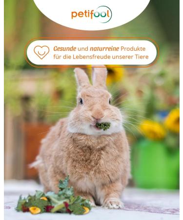 Petifool Herb Garden 400g | 100% Natural Supplementary Food for Rodents - Rabbits Guinea Pigs Hamsters & More - No Artificial Additives - Buy Online on GoSupps.com