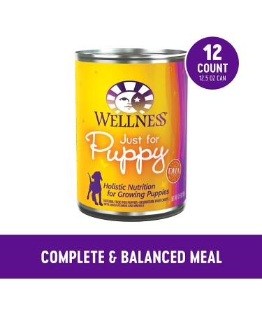 Wellness Complete Health Natural Puppy Food - Chicken & Salmon 12.5oz Can (Pack of 12) - Buy Online on GoSupps.com