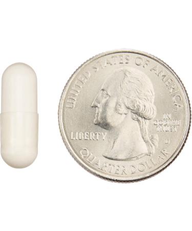 Amazon Elements One Daily Adult Probiotic Blend Supports Healthy Colon and Immune Function 50 Billion CFU (2 Strains) 30 Capsules 1 Month Supply (Packaging May Vary) 30 Count (Pack of 1) - Buy Online on GoSupps.com