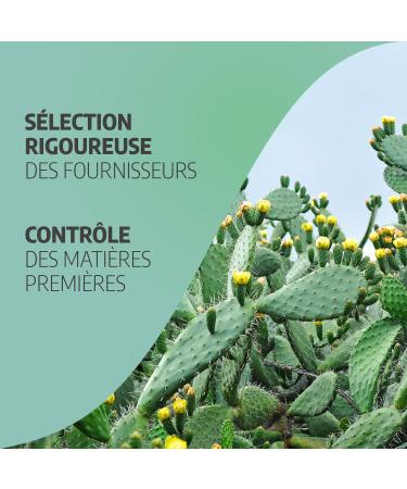 Nopal 250 mg - 100 capsules - Orgaliane - Buy Online on GoSupps.com