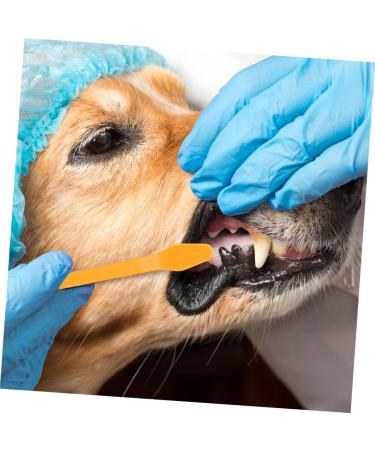 FOMIYES Pet Toothpaste 24 Pcs Double Head Dog Toothbrush Tooth Paste Pet Oral Care Large Dog Toothbrush Dog Paw Print Puppy - Buy Online on GoSupps.com