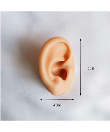 Simulation Ear Model Artificial Ear Model - Soft Silicone Ear Model - for Acupuncture Ear Picking Practice Studs Earring Display Props - Buy Online on GoSupps.com