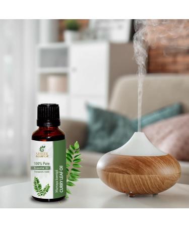 Curry Leaf Oil (Murraya Koenigii) - 100% Pure Natural Essential Oil | Therapeutic Grade Uncut 1.01 Fl.OZ (29.9 ml) - Shop Now! - Buy Online on GoSupps.com