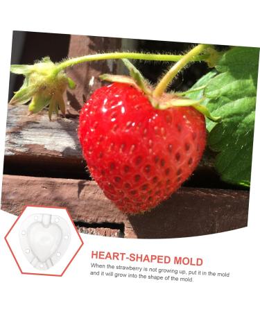 Kisangel 5pcs Fruit Shaping Vegetables Cucumber Fruit Shaper Cherry Tomatoes Stereotypes - Buy Online on GoSupps.com