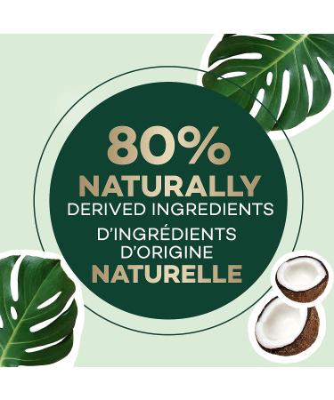 Clairol Natural Instincts 2RV Burgundy Black Hair Dye 5.85 Fl Oz - Demi-Permanent Hair Color - Buy Online on GoSupps.com