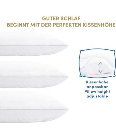 Buy Sleep Moon Fairytale Aloe Vera Pillow 40x80 cm - Allergy-Friendly Soft Cotton Washable - Made in Germany - Buy Online on GoSupps.com