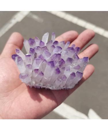 Natural Crystal Rough for Natural Purple Ghost Phantom Quartz Crystal Cluster Rock Stones and Crystals Home Deco (Size : 150-200g) - Buy Online on GoSupps.com