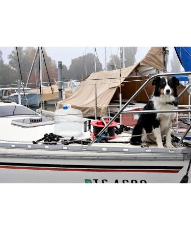 Gowithwind Collapsible Water Container 2-Pack - BPA Free Camping Water Storage Jug with Spigot, Portable Canteen for Outdoor Hiking and Emergency Survival - 2.6 Gal - Buy Online on GoSupps.com