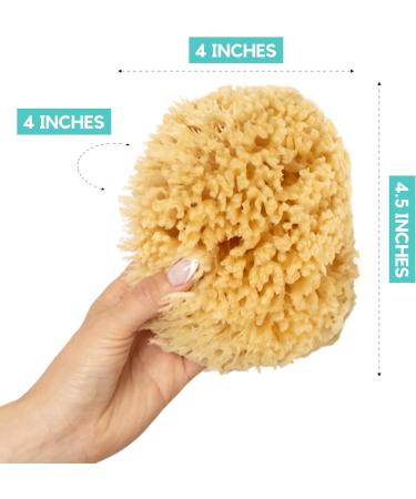 Natural Yellow XFO Sea Sponge 4.5in | Eco-Friendly Loofah Alternative for Bathing & Exfoliating | All-Natural USA Grown Sponge - Buy Online on GoSupps.com