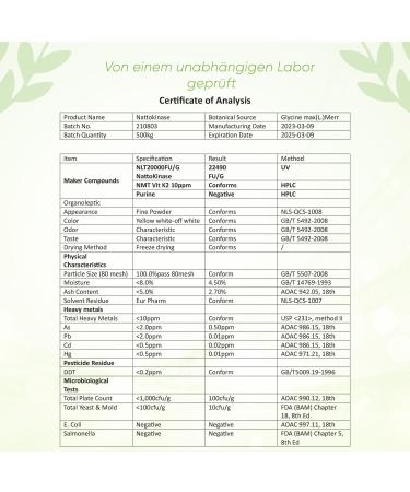 Nattokinase 240 Capsules - High-Dose 100 mg (20 000 FU/g) - 8 Month Supply - Vegan & GMO-Free - Lab-Tested & Additive-Free - Buy Online on GoSupps.com