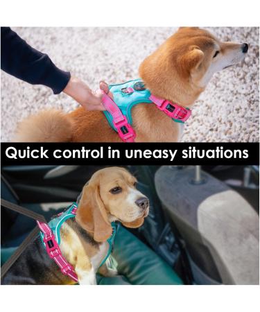 Phoepet No Pull Dog Harness - Reflective Vest with Soft Training Handle for All Dog Sizes - Mint Green & Pink XL - Buy Online on GoSupps.com