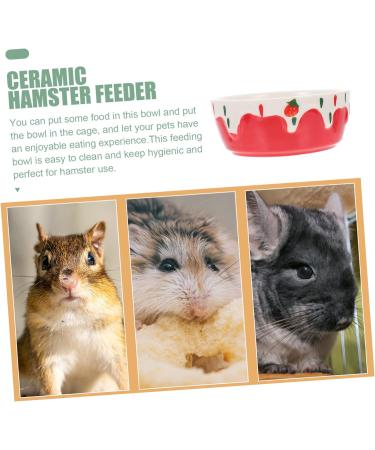 COLLBATH Hamster Food Bowl Rabbit Supplies Rabbit Feeder Bunny Water Bowl Hamster Water Bowl Ceramic Small Animal Dishes Pottery Pet Dish Guinea Pig Dish Guinea Pig Feeder Hamster Bowl Red - Buy Online on GoSupps.com