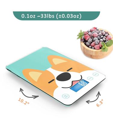 Puppy Scale - Accurate Pet Scale for Newborn Dogs & Cats 15kg Capacity 1g Precision Removable Tray in Blue - Buy Online on GoSupps.com