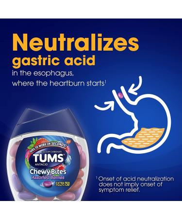 32 Count TUMS Chewy Tablets Assorted Berries Extra Strength - Fast-Acting Chewable Antacid - Buy Online on GoSupps.com