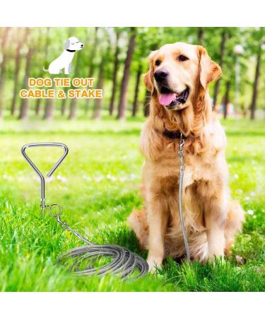XhuangTech 16.4ft Dog Tie Out Cable with 16 inches Heavy Duty Spiral Ground Stake Spike for Dog Up to 130 lbs for Playing Camping and Backyard in Ground - Buy Online on GoSupps.com